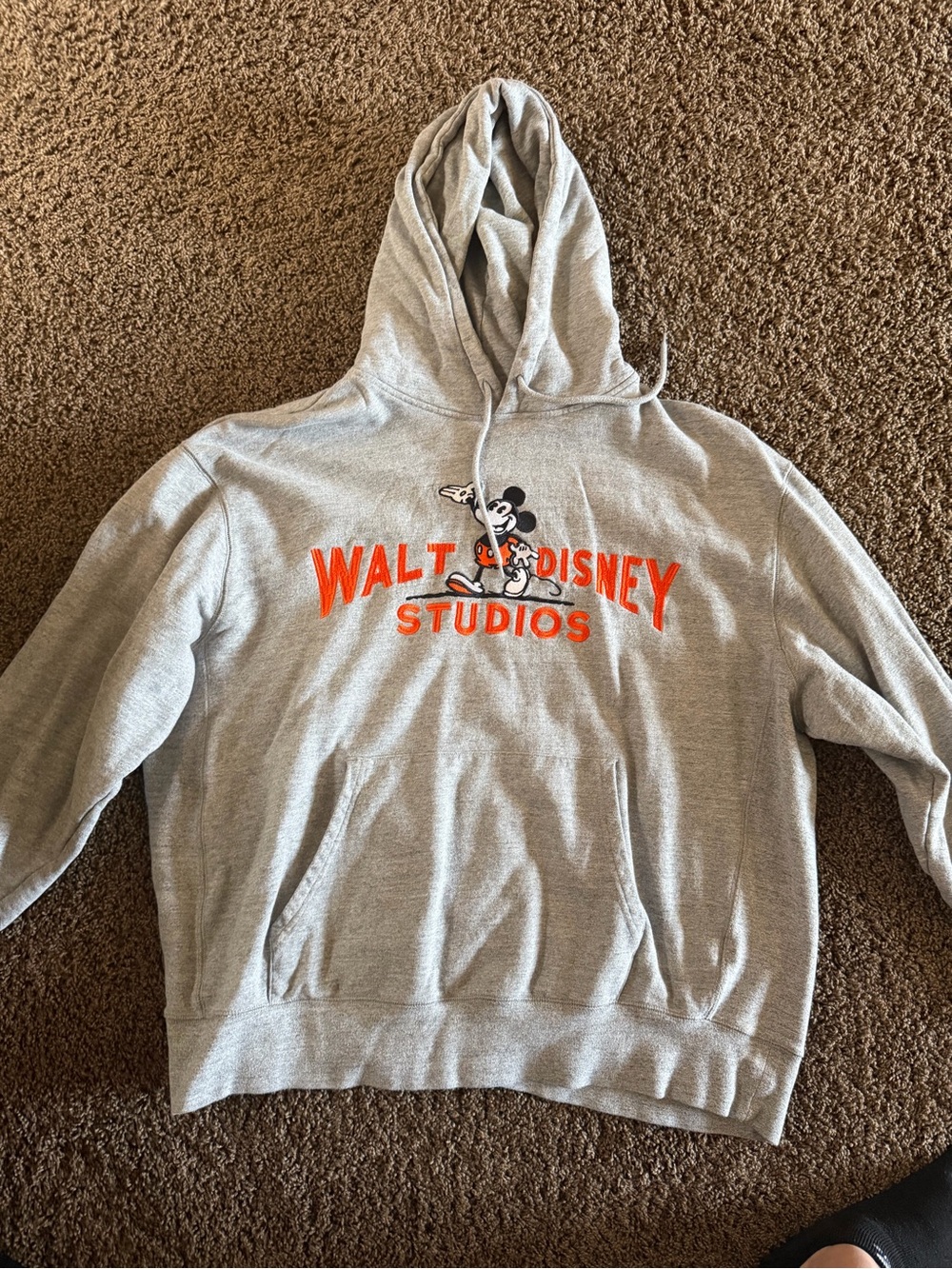 Disney Walt Disney studios Gray Hoodie Sweatshirt